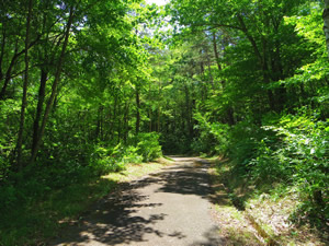 cycling road image001