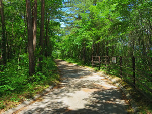 cycling road image002