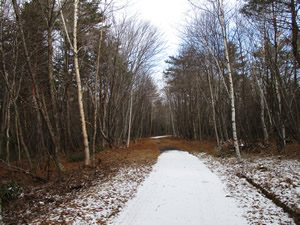 cycling road image008