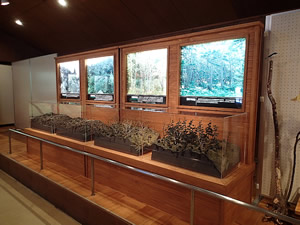 Asama Volcano Museum 002