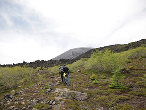 Sky Rock Trail (Trekking course)10
