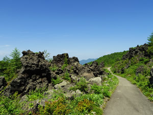 鬼押し出しの奇岩と、その隙間に生える高山植物