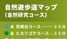 ���R�V�����}�b�v