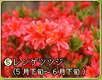 �����Q�c�c�W