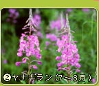 ���i�M����
