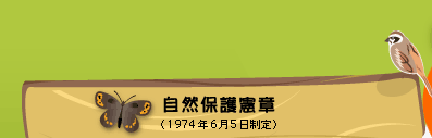 ���R�ی쌛��